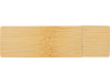 USB 2.0- флешка на 32 Гб c подсветкой логотипа Bamboo LED
