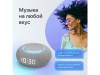 Умная колонка Капсула Мини с голосовым помощником Марусей