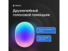 Умная колонка VK Капсула с голосовым помощником Марусей, 30 Вт